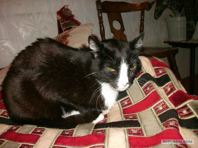 Необъяснимые явления