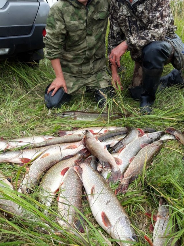 Со своих рыбалок, лето 2019