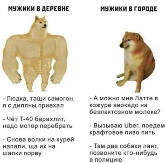 Бредзона 06.06.20