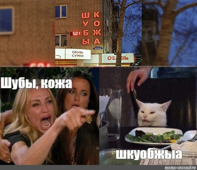 Прошёл целый год! А они всё орут на бедного котика