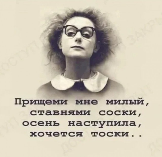 Фотки и картинки: юморные и красивые, забавные и милые 16.11.20