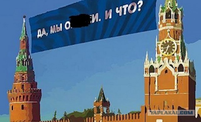 В Нью-Йорке в рождественской елке, установленной возле Рокфеллер-центра, нашли мохноногого сычика