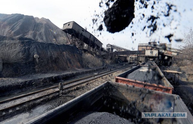 «Угля для Украины в России сейчас практически нет. Все скупает Китай»