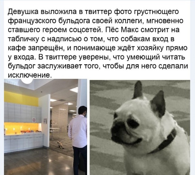 Картинки и мемы для настроения 015
