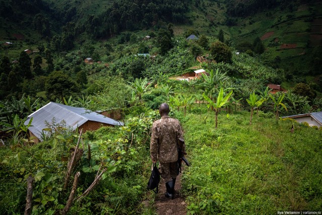 Уганда: самая настоящая Африка с гориллами и носорогами!