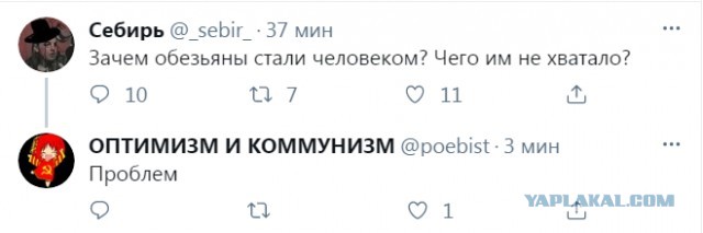 Фотки и картинки: юморные и красивые, забавные и милые 20.04.21