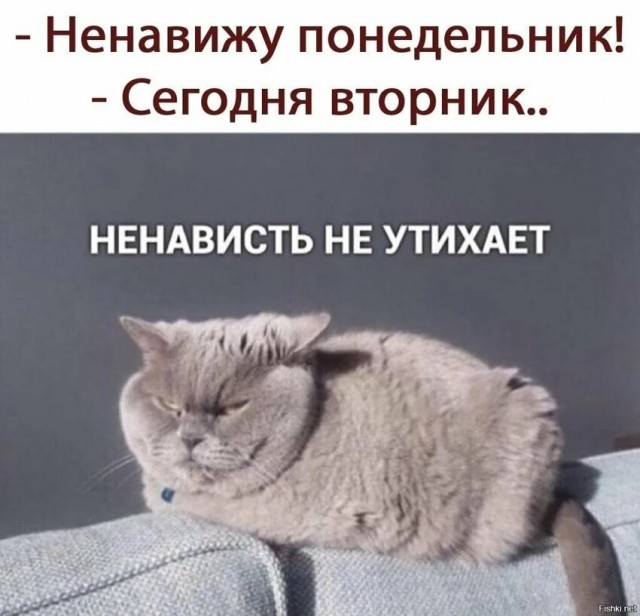 Всяческие картинки 09.06.2021