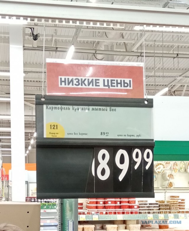 Огурцы vs ананас