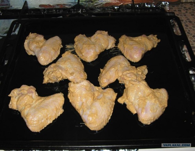 Ноги, хвосты… главное – крылья!, Кура-International–2, куриные крылья