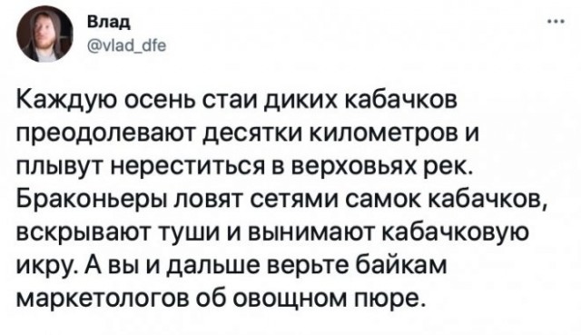 Картинки и мемы для настроения 006