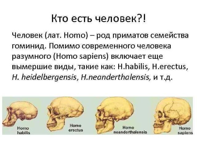 60 удивительных фактов о природе