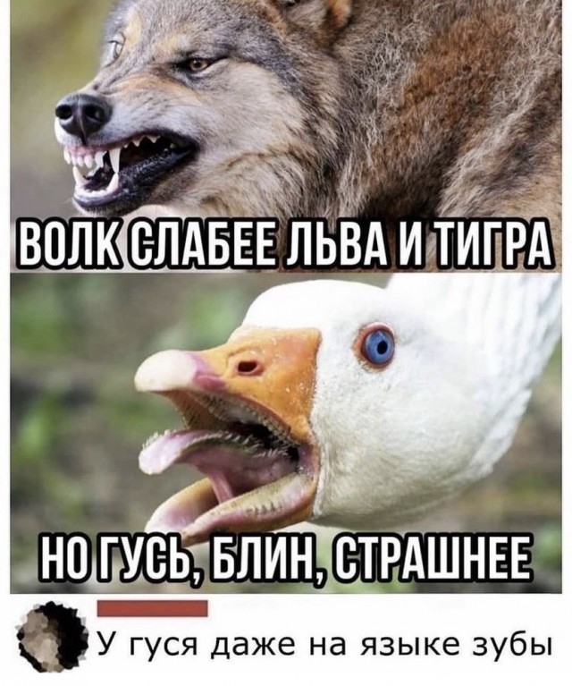 Так себе картинки 13.08.21