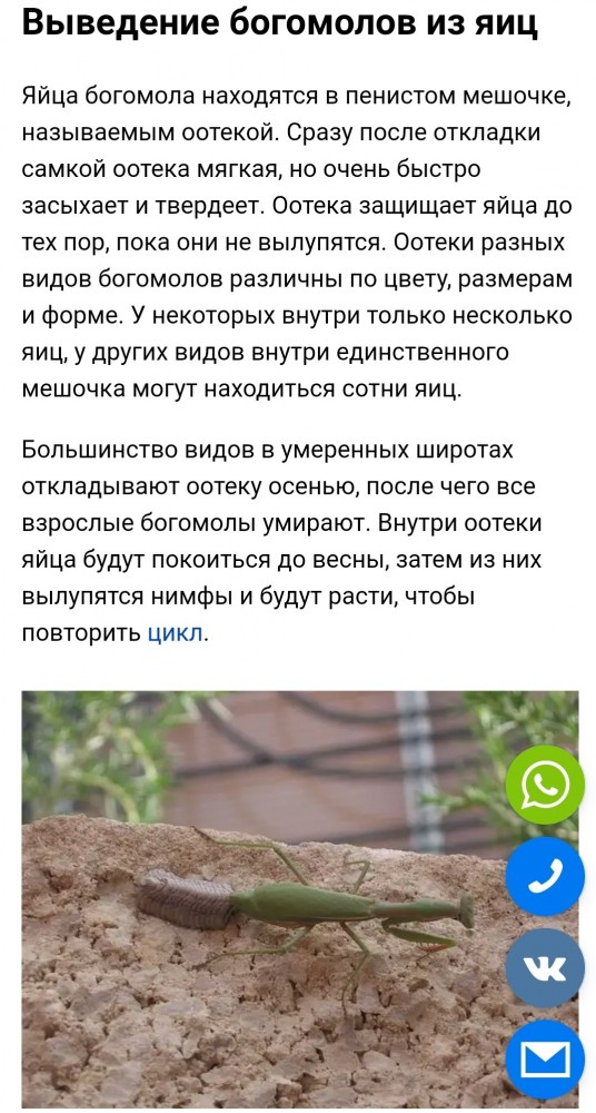 Умер Геннадий...