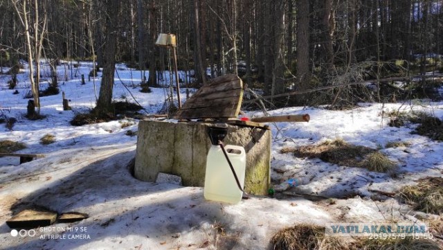 Вода в бутылках: почему это величайший обман в истории человечества