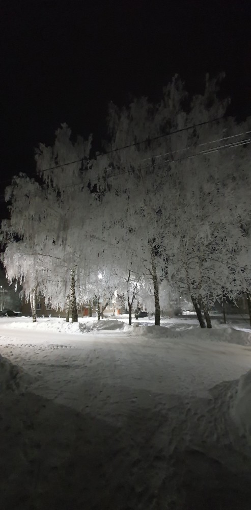 Не корона, не куркод, не казахи. Глянь на снежную сказку