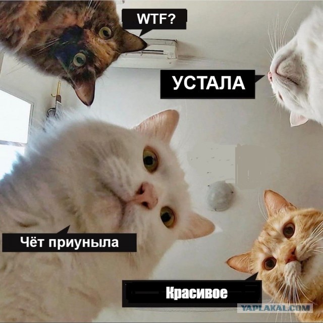 Бьёт - значит любит?