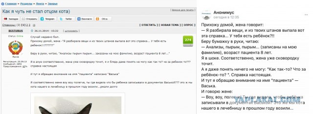 Забавные комментарии из социальных сетей (04.07.22)