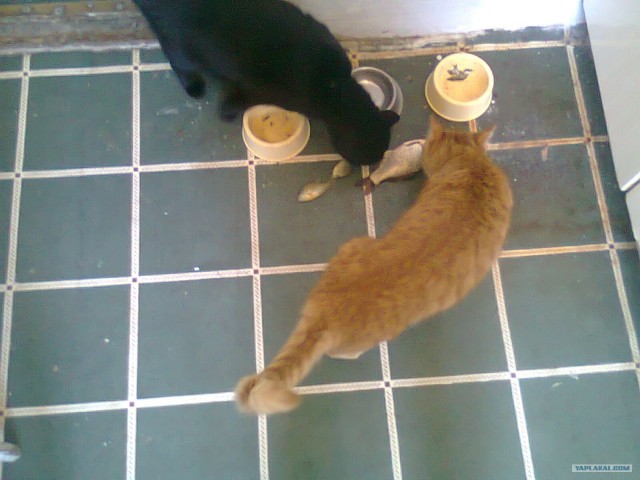 Моя первая рыбалка...