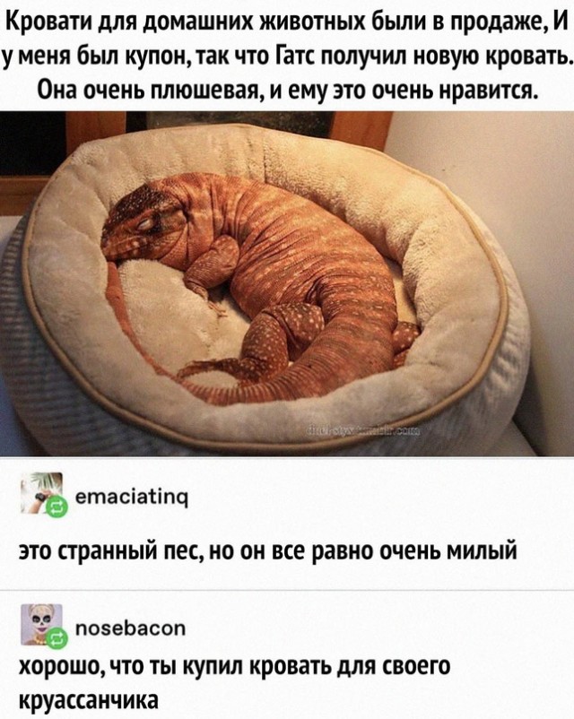 Немного картинок для настроения - 114