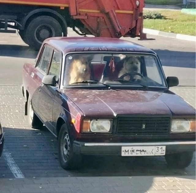 Юмор в картинках и без