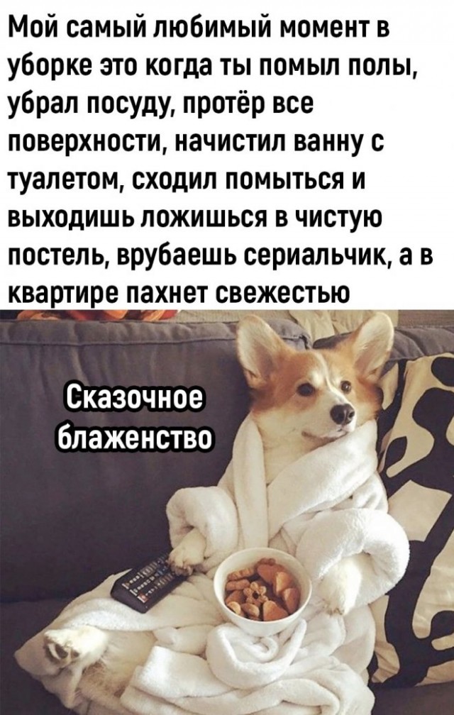 Картинки и мемы, всем хороших выходных