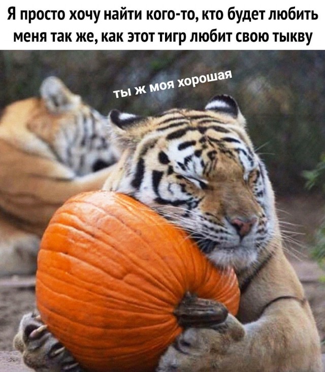 Картинки и мемы, выходные продолжаются