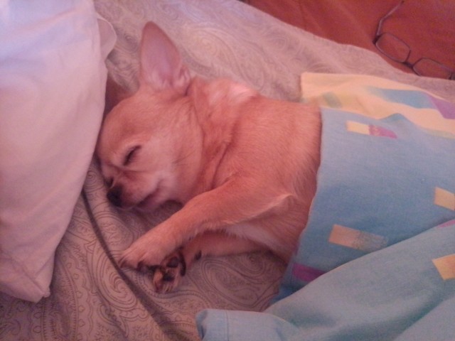 Кто как спит