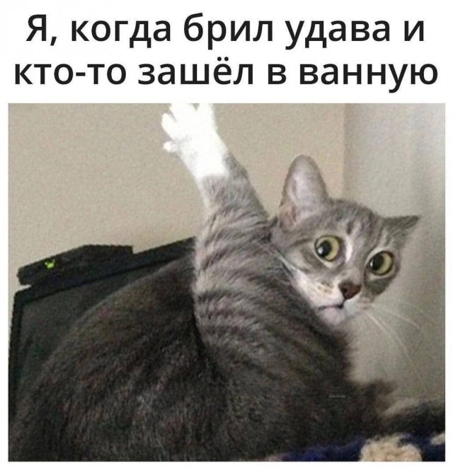 Немного картинок для взрослых 16.01.23