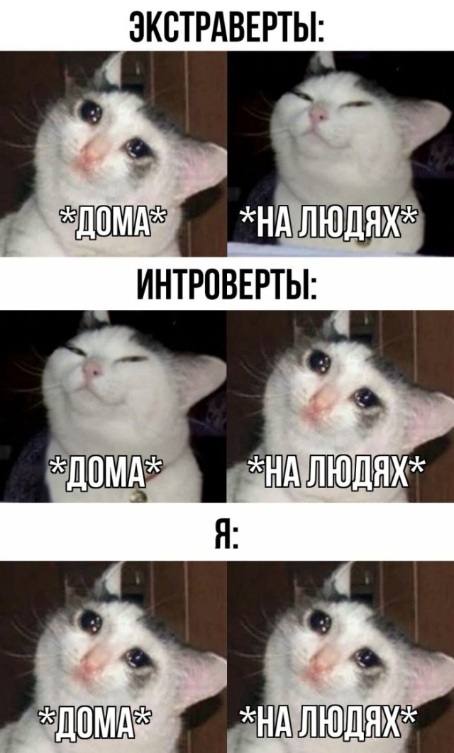 Немного картинок для настроения - 127