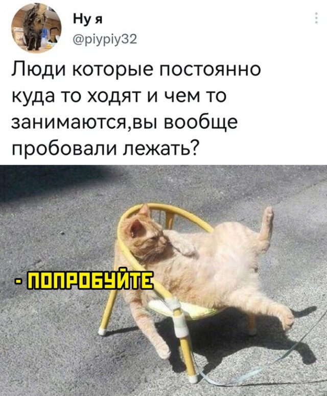 Весёлый полтишок 15.02.23