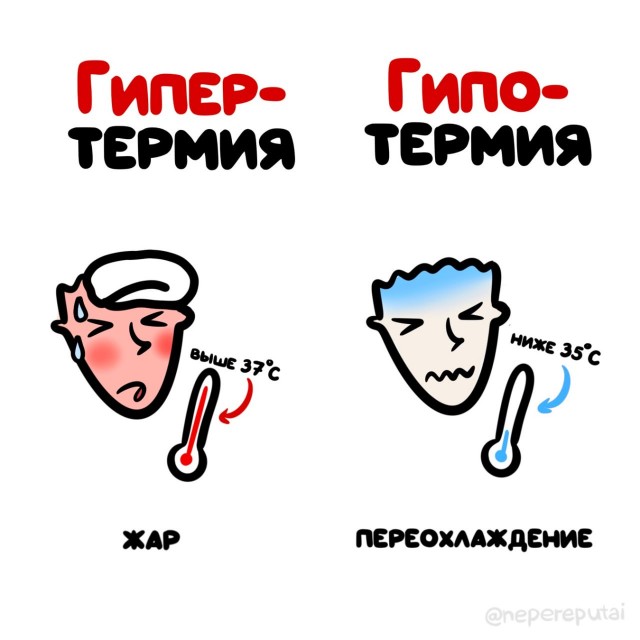 Смотри, Кутузов, не перепутай... vol.3