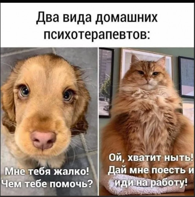Победная поступь идиотизма по планете – том 9