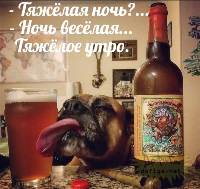 Так себе картинки 03.07.23