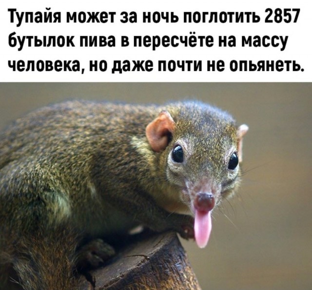 Развелась из-за запаха