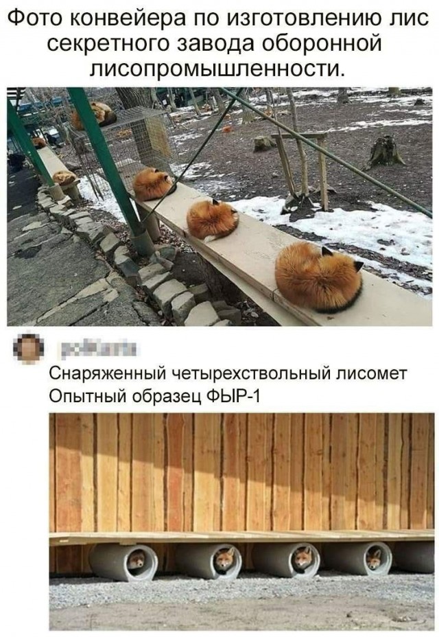 Народная меДИЧина 5009