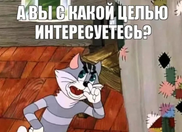 Кто на чём передвигается?