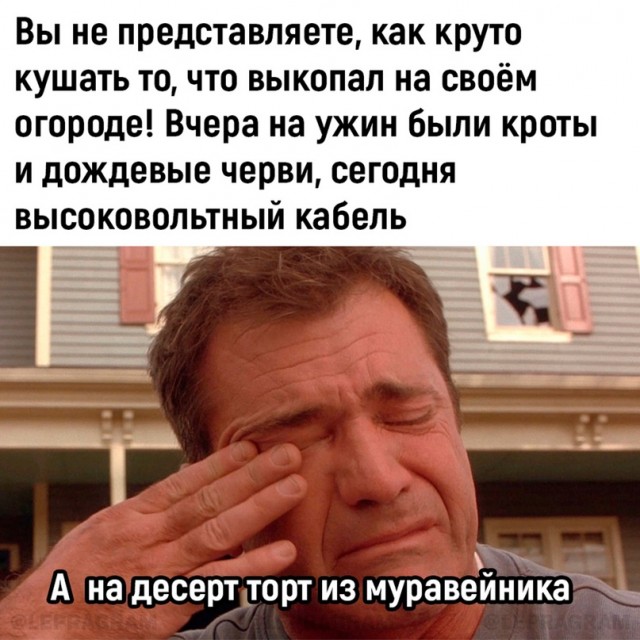 Пятничная скупка краденого из сети 11.08.2023