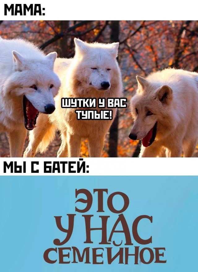 Картинки от Scodero 5