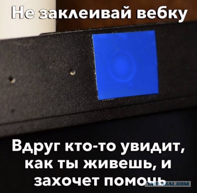 10 картинок с подписями