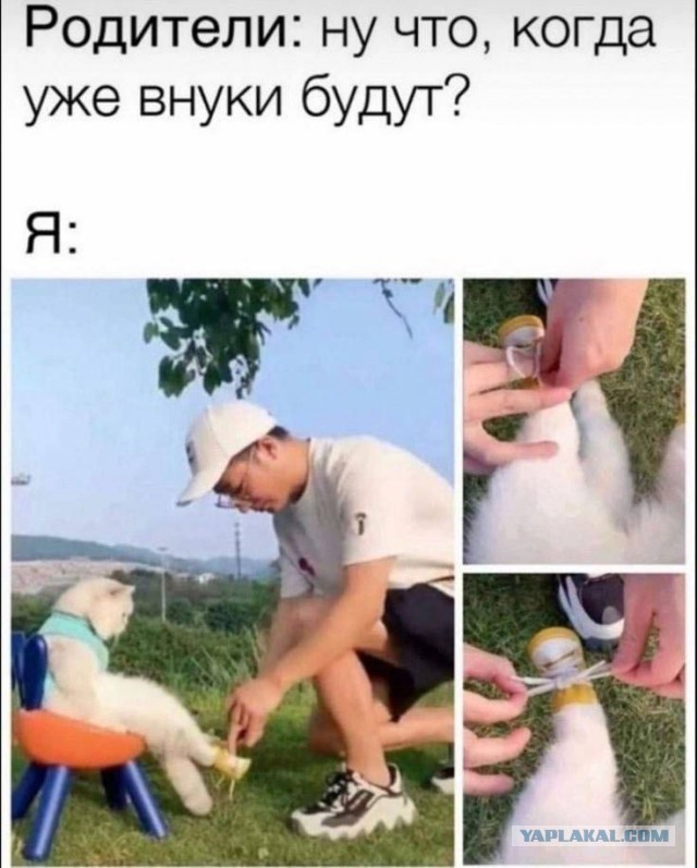 Чуток картинок