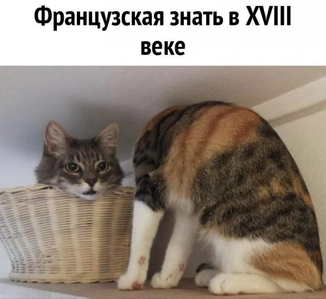 Маленькая пятница