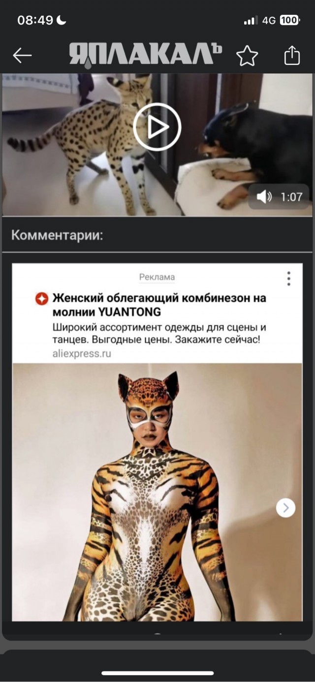 Конфликт разрешился миром