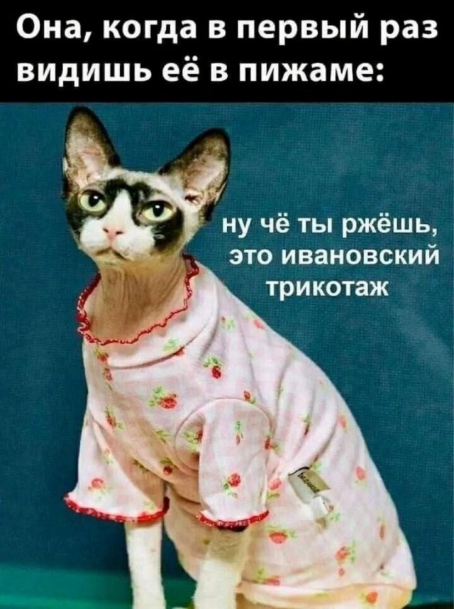 Нуштош 22.02.2024