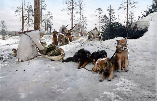 1943 год в фотографиях