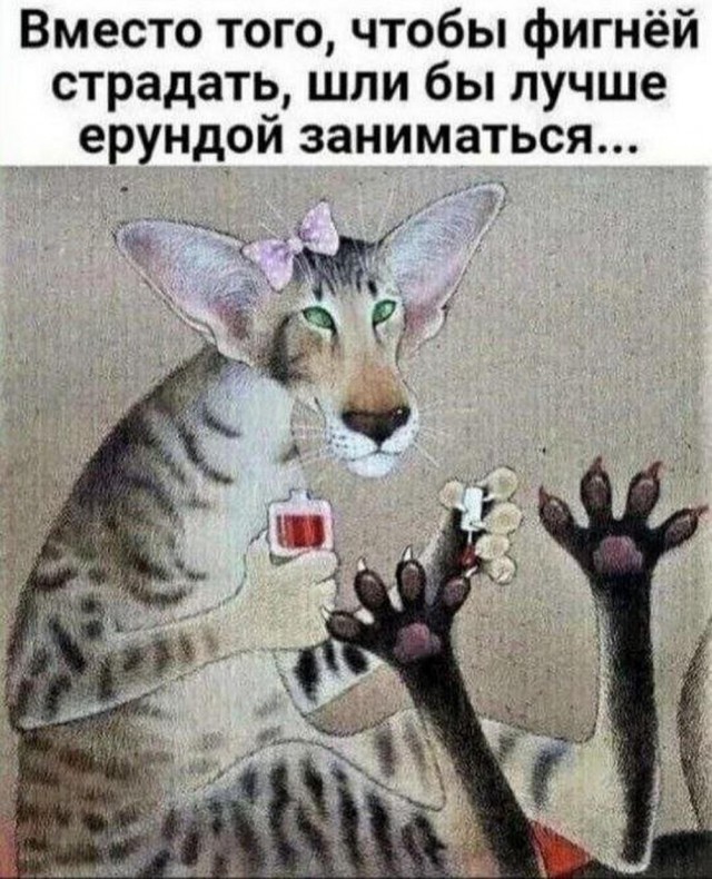 Нуштош 13.06.2024