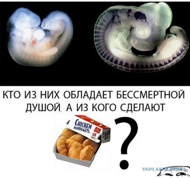 Картинки разные с надписями и без