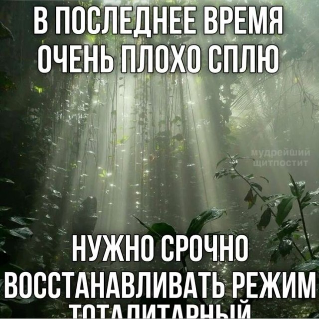 Прикольные и просто красивые картинки 23.08.2024