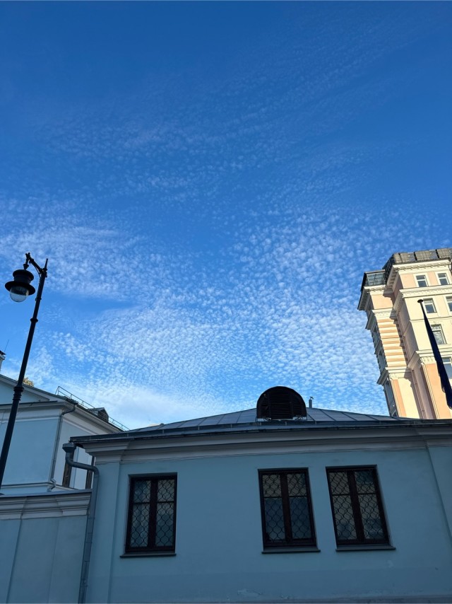 Белогривые лошадки