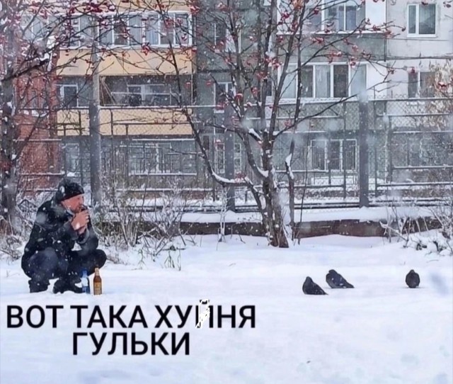 Так себе картинки 22.11.24
