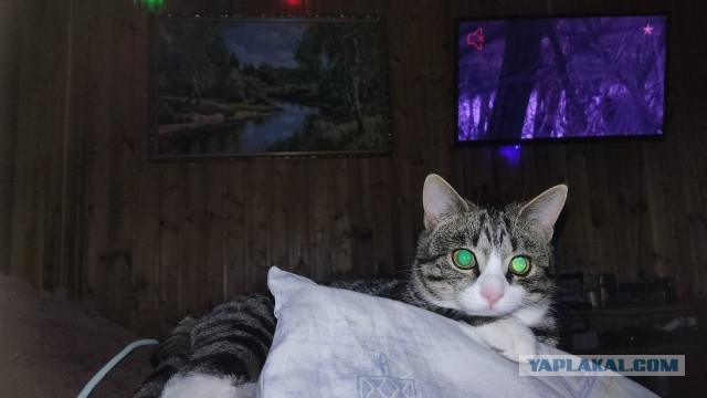 Вот и я стал рабом